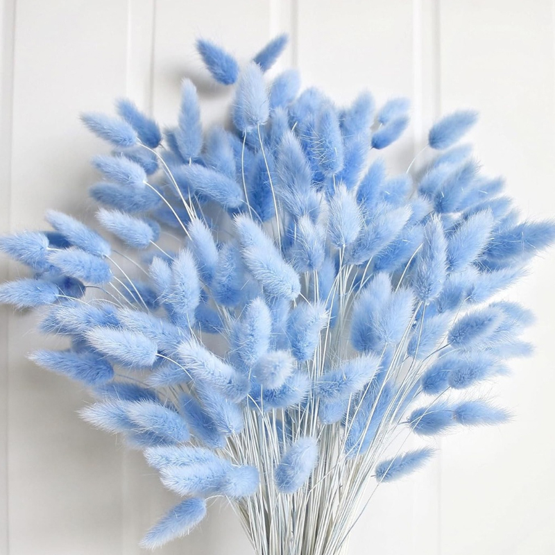 100 قطعة ذيل هير الأزرق العشب  - مراجعة Baby Products Decoration وسعره
