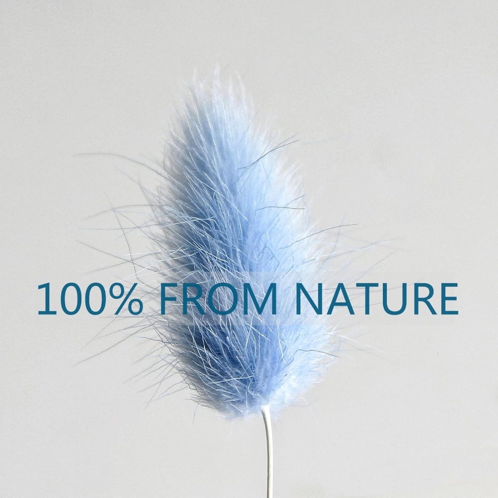 100 قطعة ذيل هير الأزرق العشب  - مراجعة Baby Products Decoration وسعره